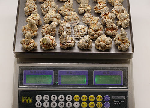 文山三七价格 文山三七价格