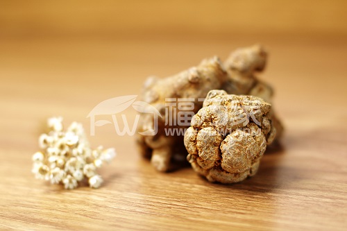 文山三七 三七的作用