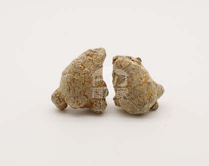 三七熟吃补血，为什么？