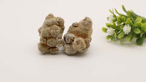 两次买的三七形状不一样? 两次买的三七形状不一样?