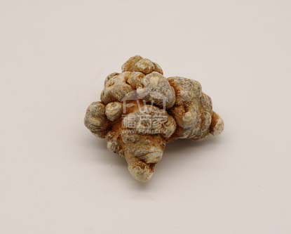 三七粉能长期吃吗?是否有副作用? 三七粉能长期吃吗?是否有副作用?