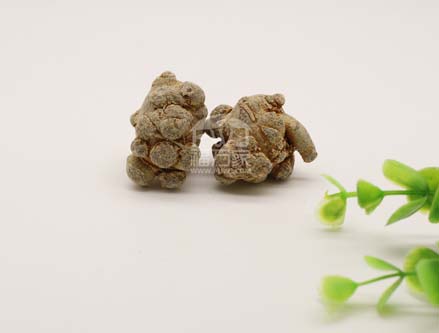 三七的功效是炒作的、假的吗? 三七的功效是炒作的、假的吗?