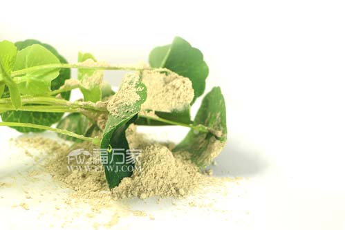 三七粉对黄褐斑的改善效果及使用方法 三七粉对黄褐斑的改善效果及使用方法