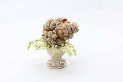 多少头的三七最好?值得买吗? 多少头的三七最好?值得买吗?