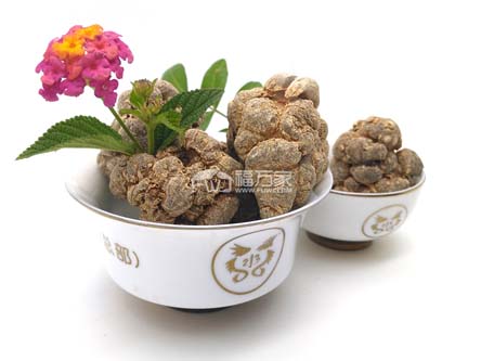 关于三七粉的购买 关于三七粉的购买