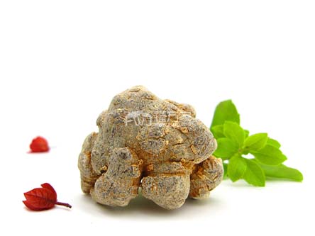 吃三七粉的副作用是什么? 吃三七粉的副作用是什么?