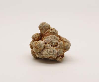 三七粉哪里的好?还能货到付款! 三七粉哪里的好?还能货到付款!