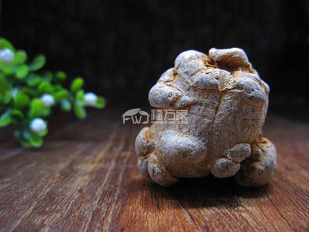 三七粉哪个牌子好 三七粉哪个牌子好