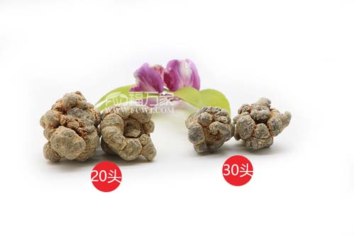 三七粉哪个牌子质量好 三七粉哪个牌子质量好