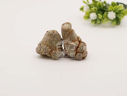 三七的效用会受喝茶影响吗? 三七的效用会受喝茶影响吗?