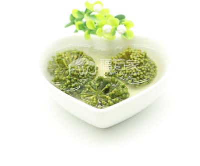 四年三七花哪里买？多少钱一斤