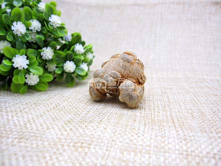 三七粉适合什么人吃? 三七粉适合什么人吃?