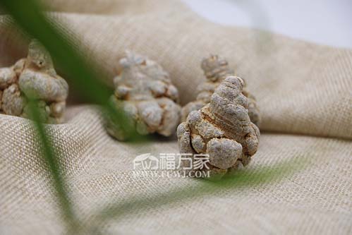 一斤三七多少钱? 一斤三七多少钱?