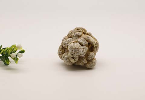 三七的效用竟然还能改善亚健康? 三七的效用竟然还能改善亚健康?