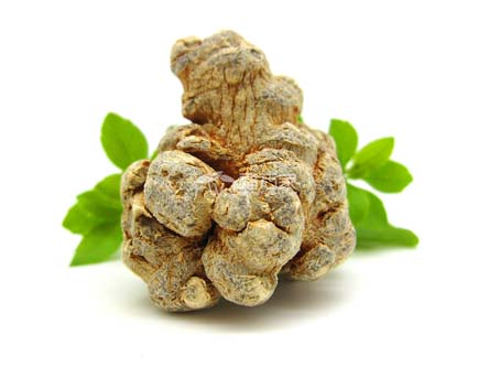 三七头多的好还是头少的好 三七头多的好还是头少的好?