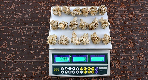 18头三七 18头三七