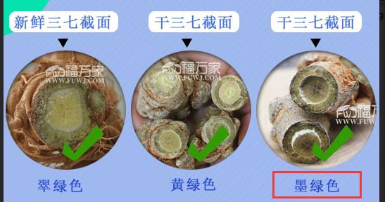 什么样三七好? 什么样三七好?