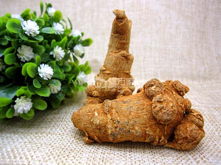 三七打粉选多大的好啊？