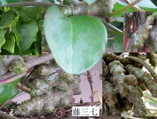 1577352161310000.jpg 1577352161310000.jpg