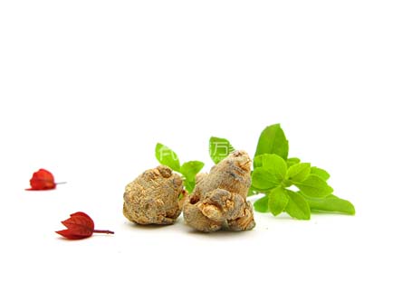 田七就是三七 田七就是三七