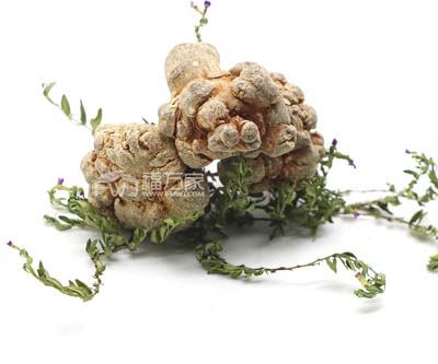 吃田七增高的说法是不是真的? 吃田七增高的说法是不是真的?