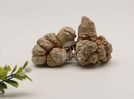 三七什么样子最好?是圆的还是长的? 三七什么样子最好?是圆的还是长的?