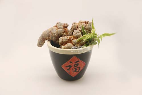 田七用量一次是多少? 田七用量一次是多少?