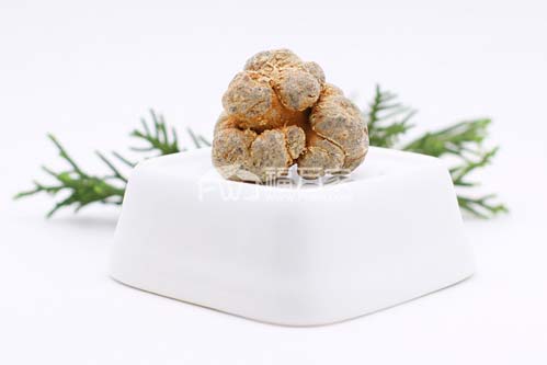 春三七好还是秋(冬)三七好? 春三七好还是秋(冬)三七好?