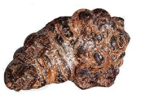 打蜡三七和病七 打蜡三七和病七