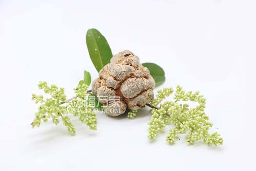 三七粉几头的好？