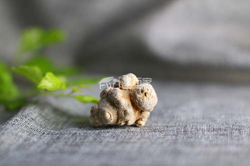 如何判断三七的质量、品质的好坏? 如何判断三七的质量、品质的好坏?