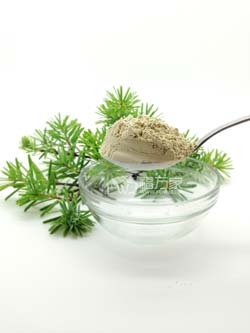 真正的文山三七粉 真正的文山三七粉