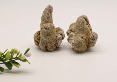 三七粉晚上喝好还是早上喝好