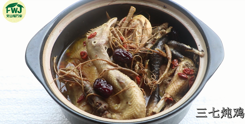 三七根炖鸡 三七根炖鸡