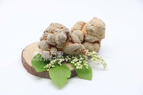 怎样才能买到真正的三七粉