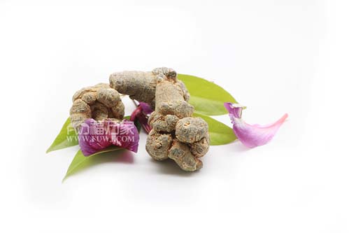 买三七粉好还是买三七块来打粉好 买三七粉好还是买三七块来打粉好