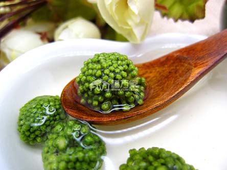 哪个品牌的三七花好 哪个品牌的三七花好