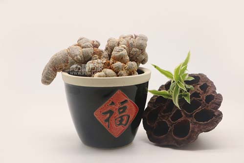 好的三七长什么样