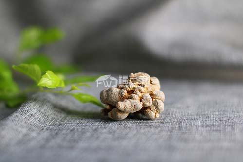 什么样的三七粉才是好三七粉 什么样的三七粉才是好三七粉