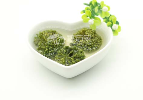 想买三七花在哪里买 想买三七花在哪里买