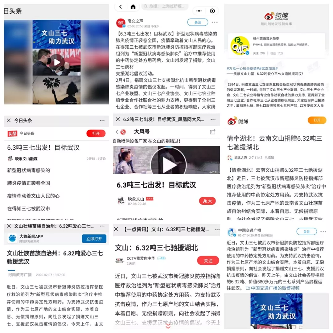 媒体报道文山三七助抗新型冠状病毒 媒体报道文山三七助抗新型冠状病毒