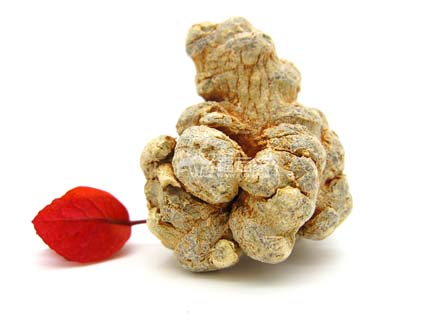 吃了三七粉能喝咖啡吗 吃了三七粉能喝咖啡吗