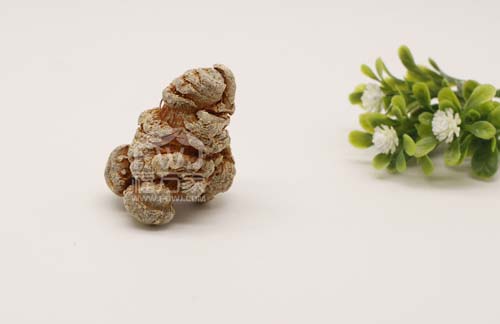 三七粉怎样吃 三七粉怎样吃