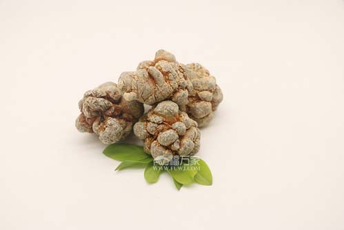 三七的效用 三七的效用