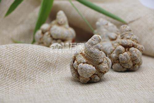 三七的效用 三七的效用