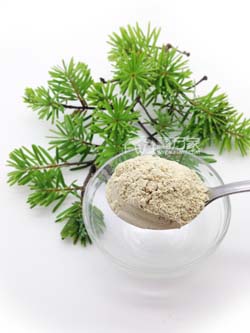 什么样的三七粉好 什么样的三七粉好