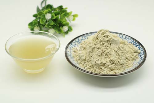 三七粉对胃有伤害吗 三七粉对胃有伤害吗