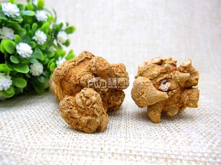 三七的副作用太大吗 三七的副作用太大吗