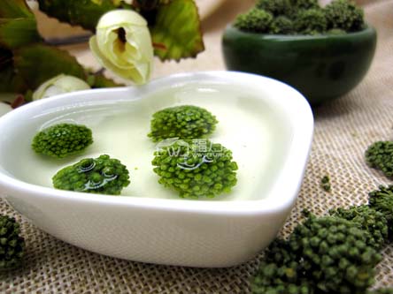 三七花泡水放几朵