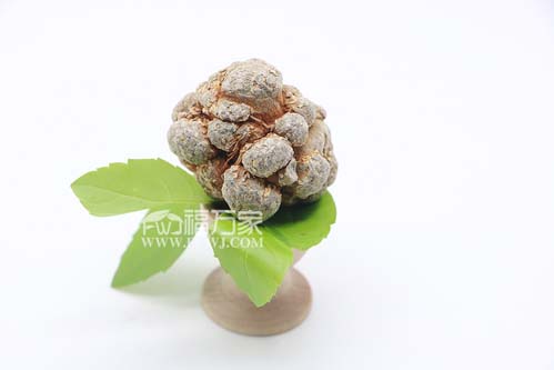 正品三七 正品三七